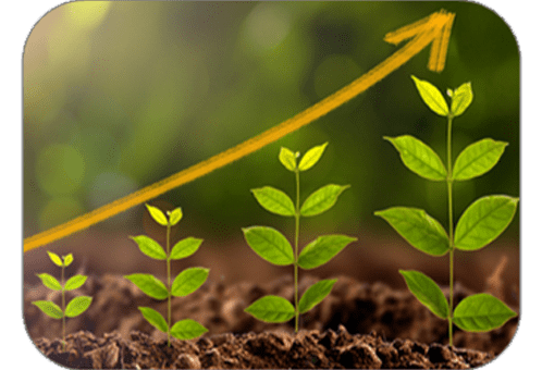 image scaling-up-smes
